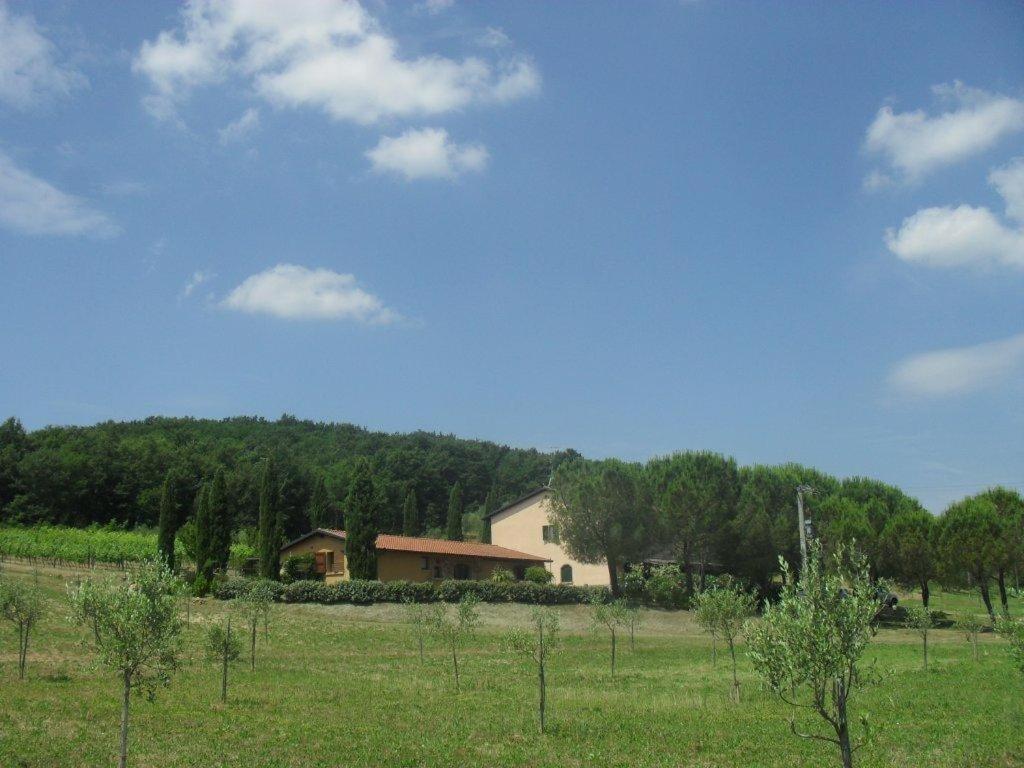 Agriturismo Podere Mulinaccio Ribolla Exterior foto