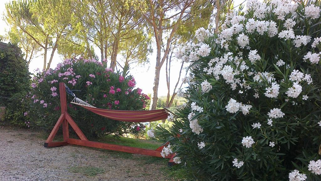 Agriturismo Podere Mulinaccio Ribolla Exterior foto