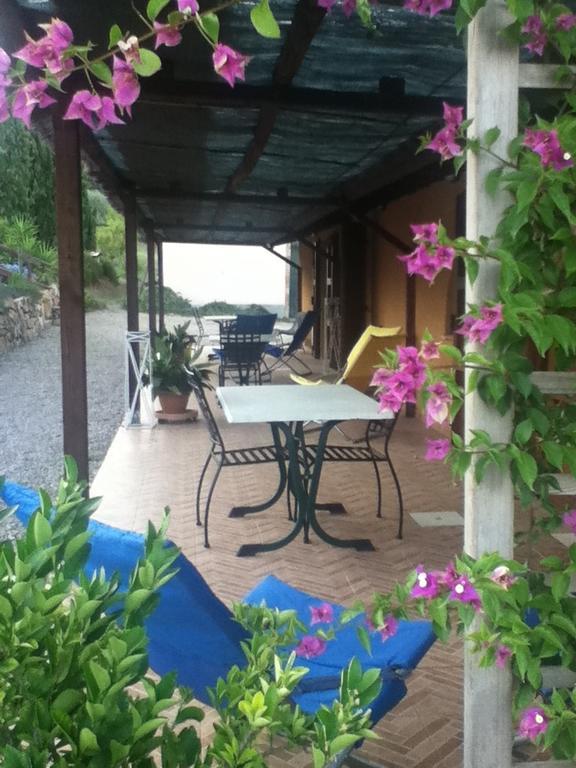 Agriturismo Podere Mulinaccio Ribolla Exterior foto